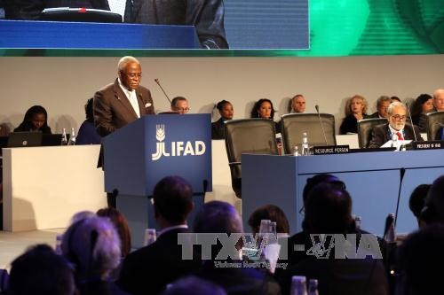 Vietnam attends annual IFAD Governing Council meeting - ảnh 1